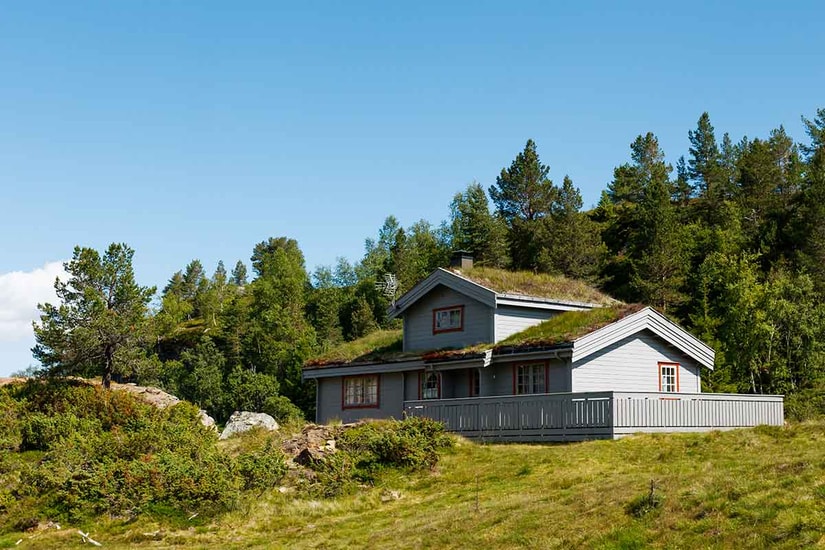 Hytte omringet av grønt landskap, til illustrasjon for hyttelån