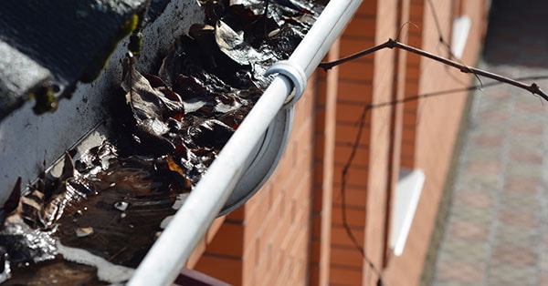 Takrenne på rødt hus med behov for fjerning av løv, til illustrasjon for vedlikehold av bolig