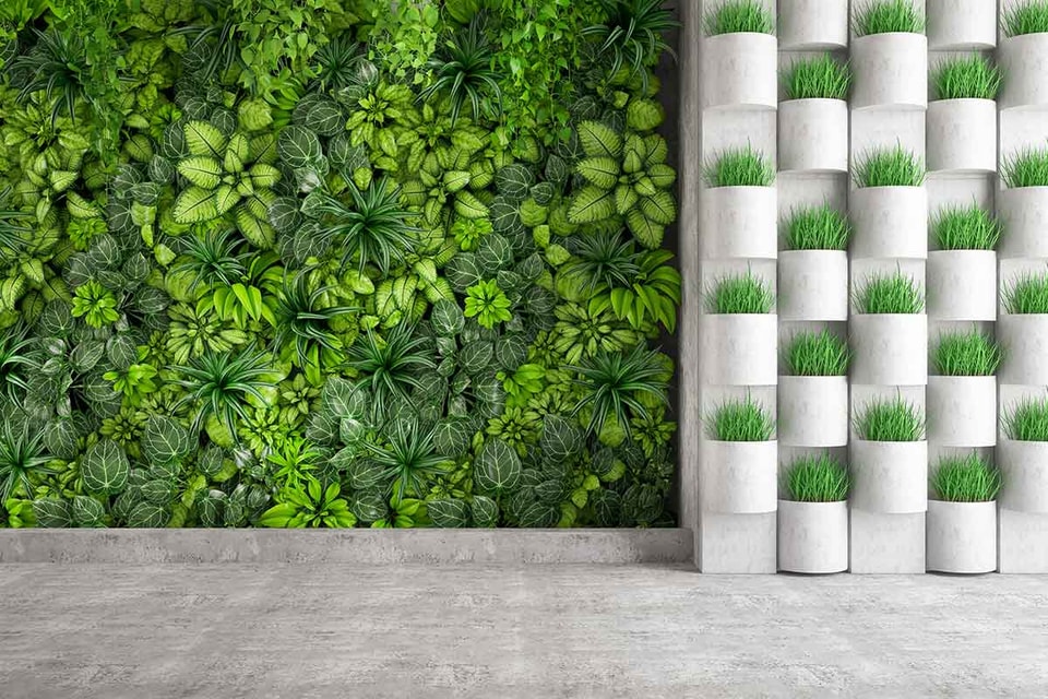 Plantvegg og planter i potter i et bygg, til illustrasjon for bærekraftig utvikling