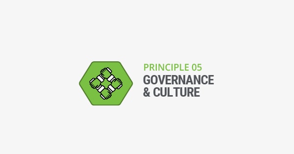 Prinsipp 5 governance and culture